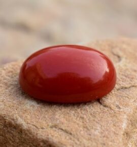 Red Coral